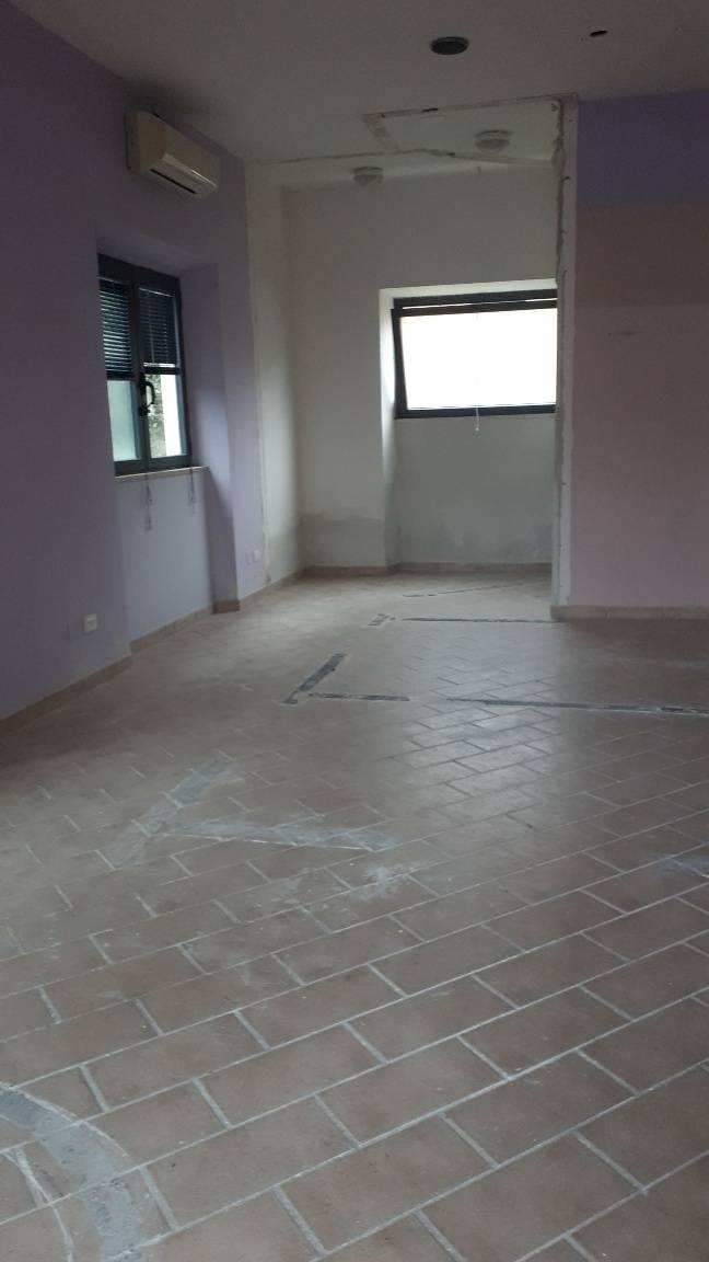 Fondo Artigianale in affitto a Lucca, San Concordio Contrada