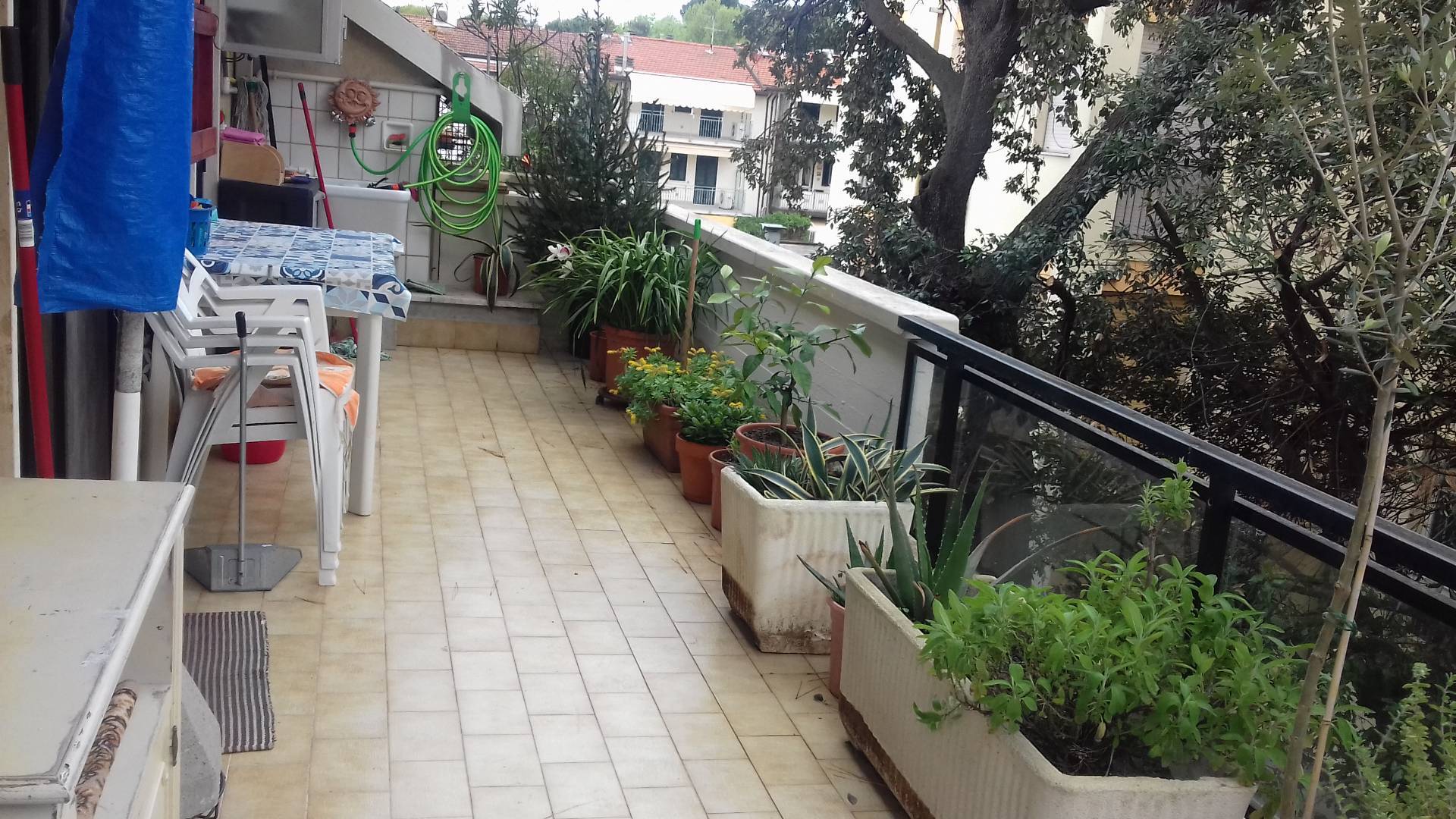 Appartamento in affitto a Viareggio, Marco Polo