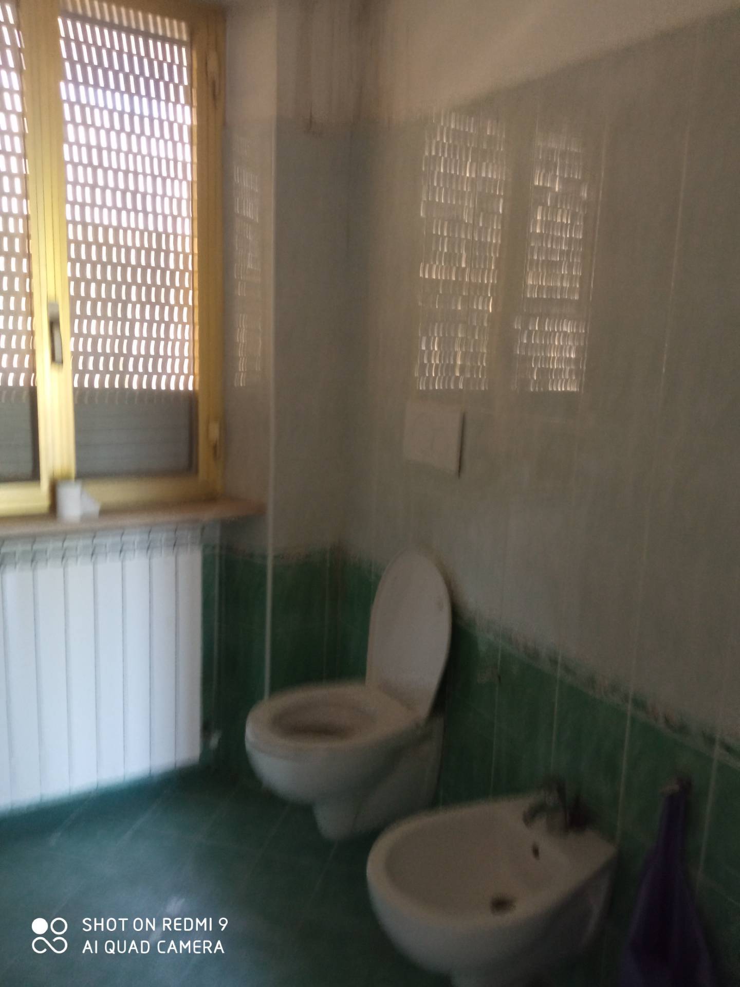 Fondo Commerciale in affitto a Capannori, Lammari