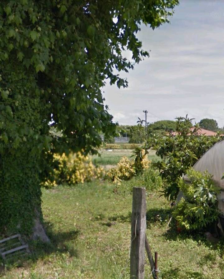 Terreno in vendita a Massarosa, Piano del Quercione