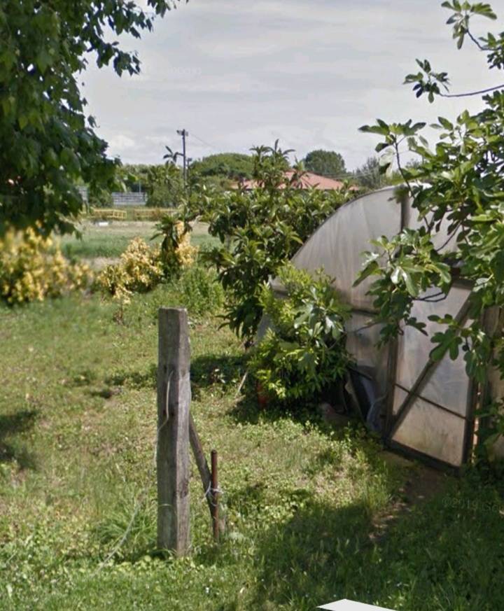Terreno in vendita a Massarosa, Piano del Quercione