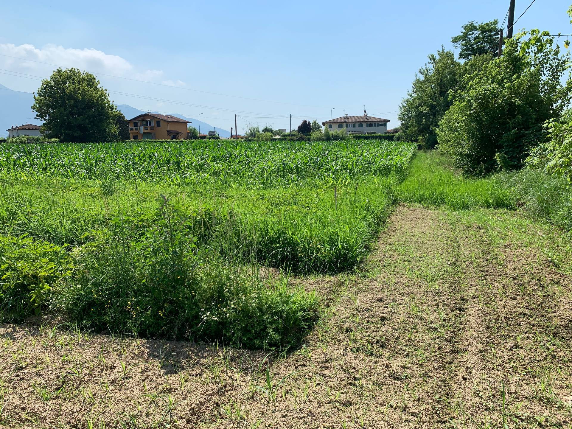 Terreno in vendita a Pietrasanta, Focette
