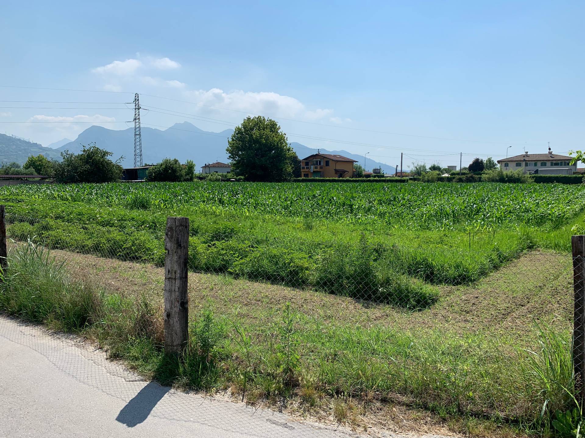 Terreno in vendita a Pietrasanta, Focette