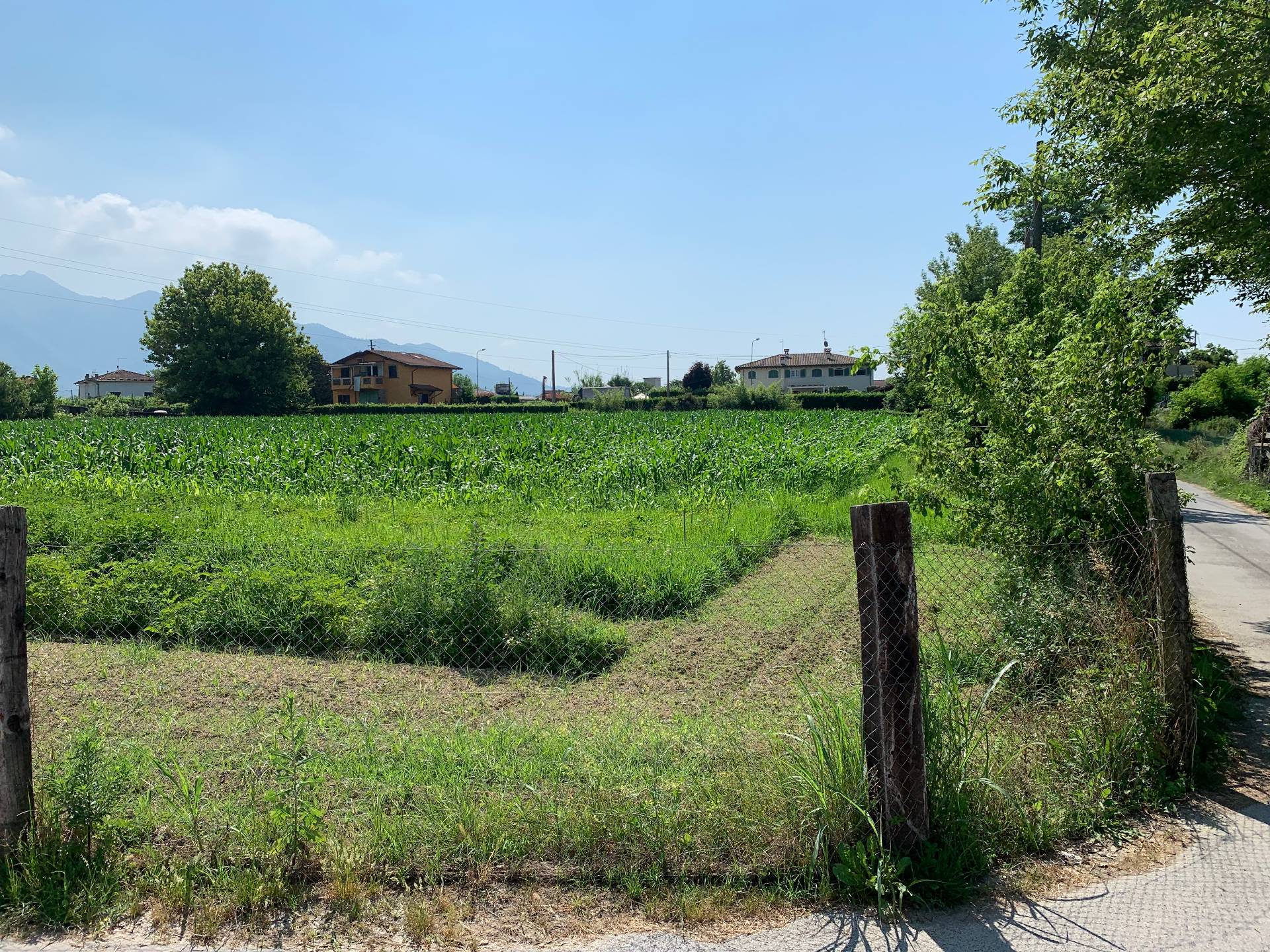 Terreno in vendita a Pietrasanta, Focette