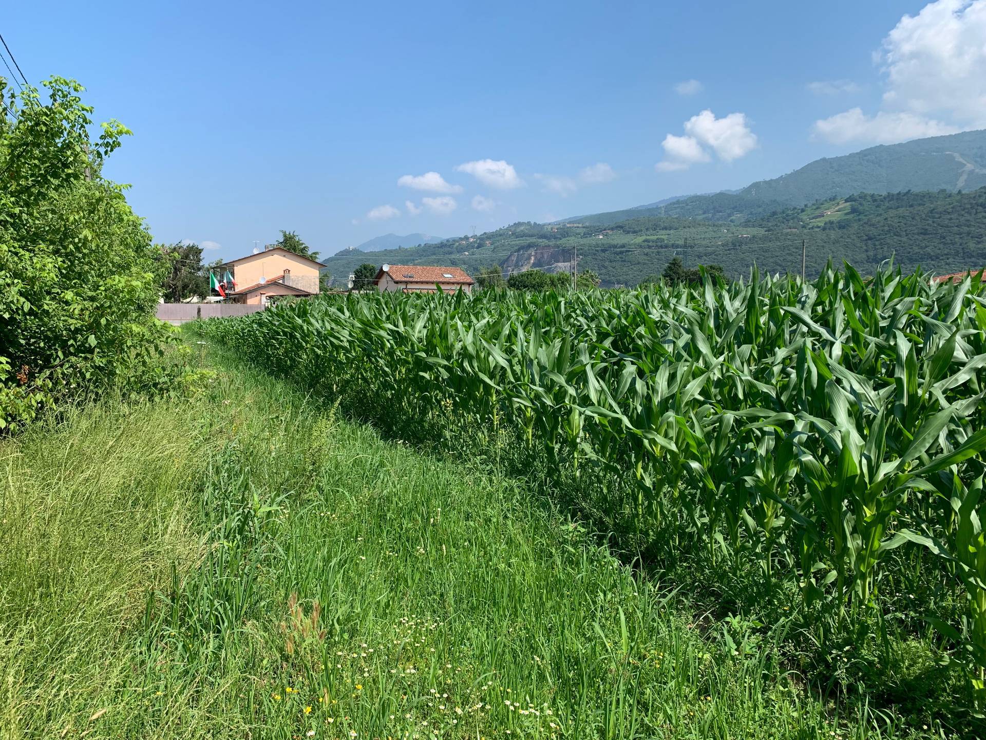 Terreno in vendita a Pietrasanta, Focette