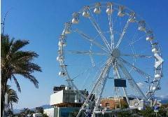 Attivit/licenza in vendita a Camaiore, Lido di Camaiore