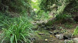 Terreno in vendita a Abetone Cutigliano