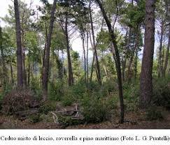 Terreno in vendita a Abetone Cutigliano