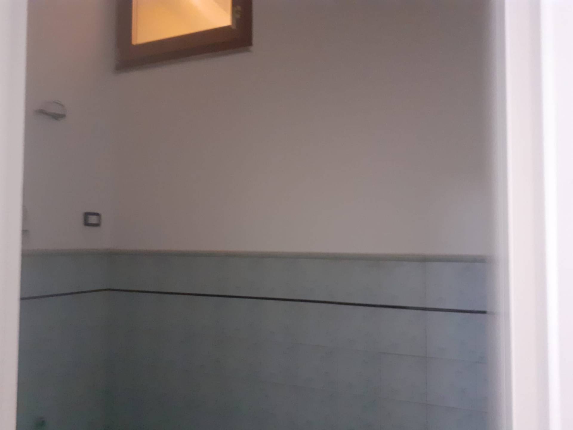 Fondo Commerciale in affitto a Viareggio, Centro