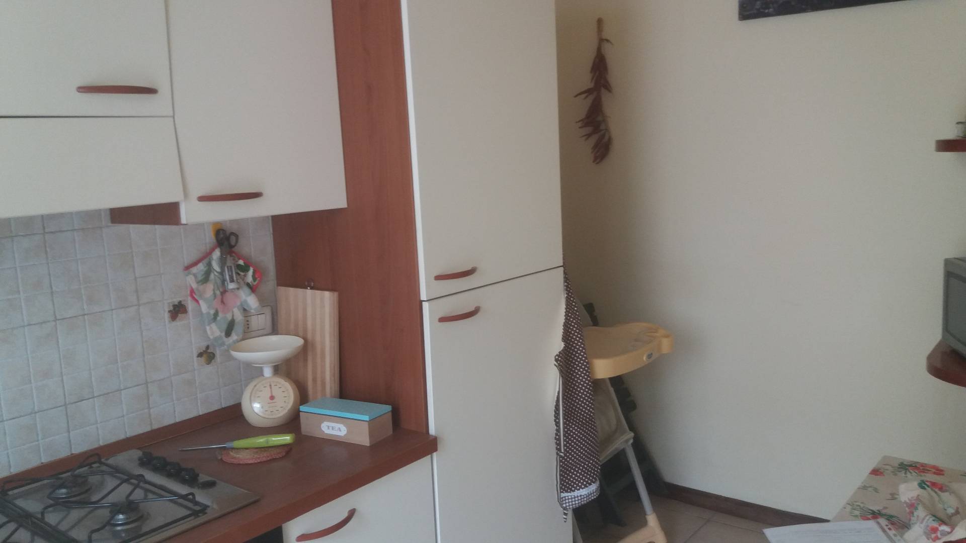 Appartamento in affitto a Camaiore, Lido di Camaiore