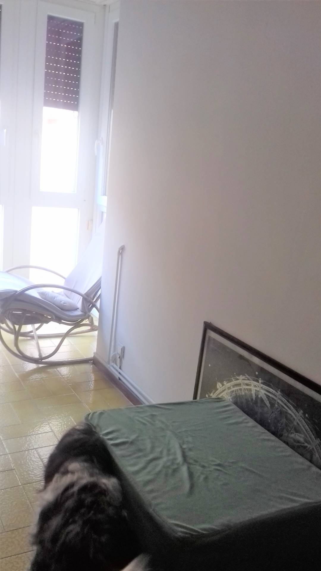 Appartamento in affitto a Viareggio, Marco Polo