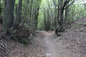 Terreno in vendita a Abetone Cutigliano