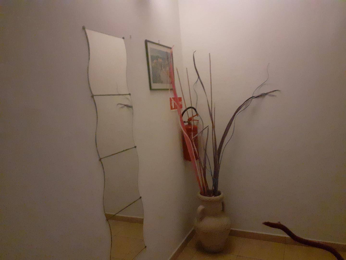 Attivit/licenza in vendita a Camaiore, Lido di Camaiore