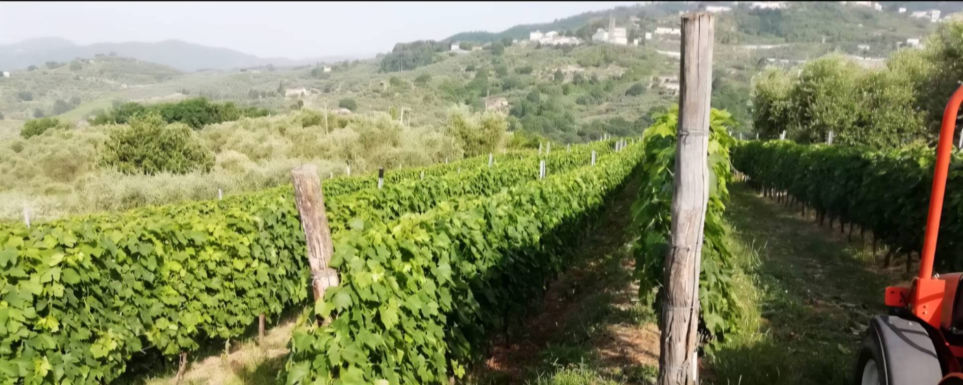 Terreno in vendita a Lucca