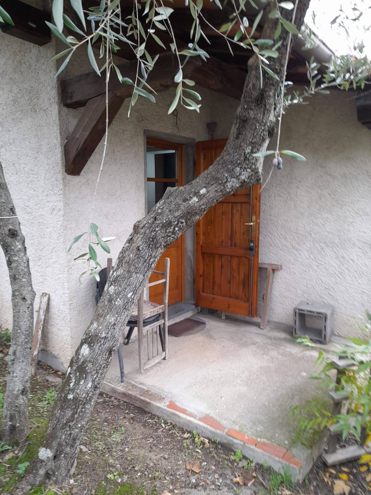 Terreno in vendita a Pietrasanta, Capezzano Monte