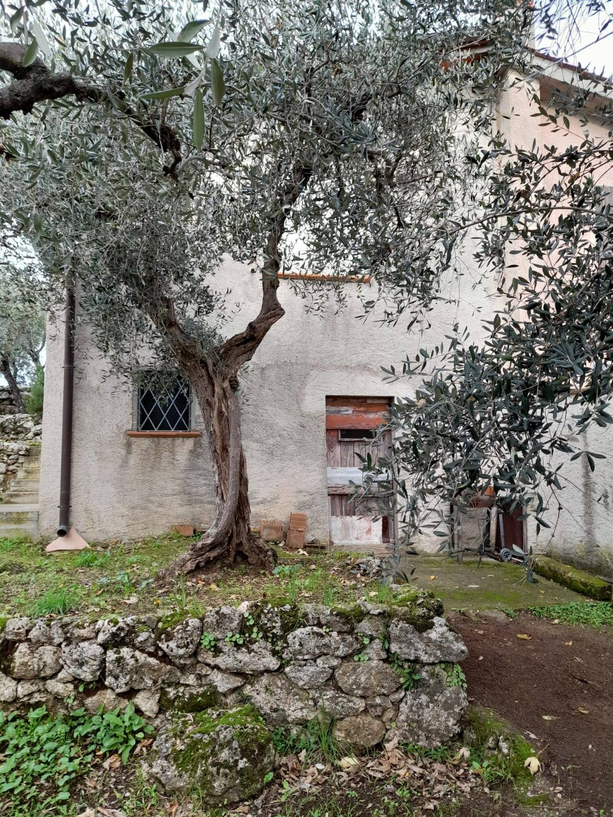 Terreno in vendita a Pietrasanta, Capezzano Monte