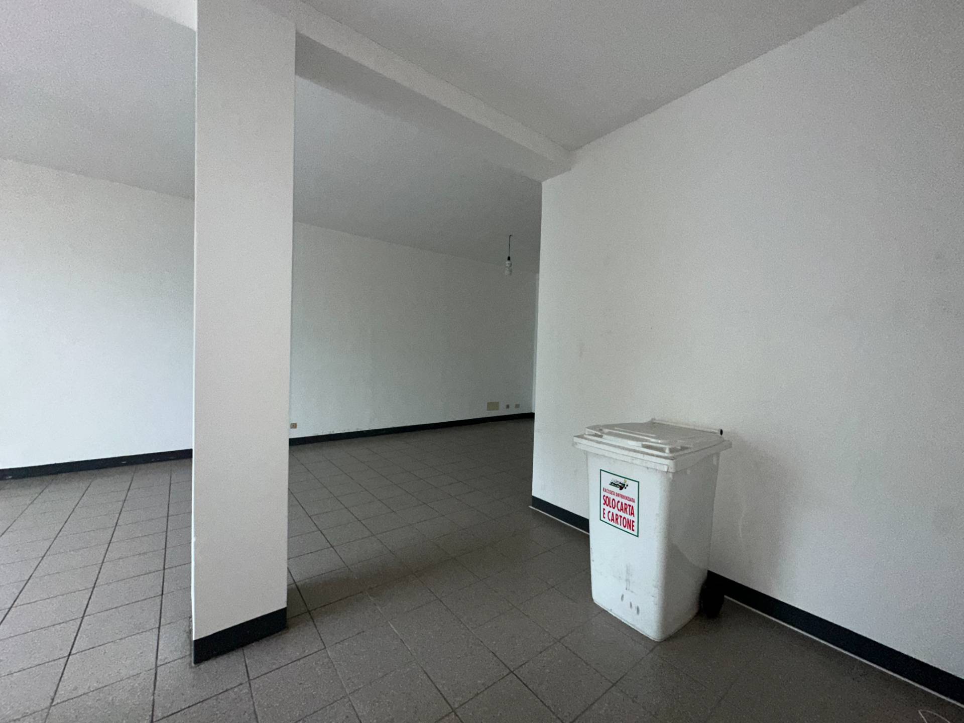 Magazzino in affitto a Capannori, Segromigno in Monte