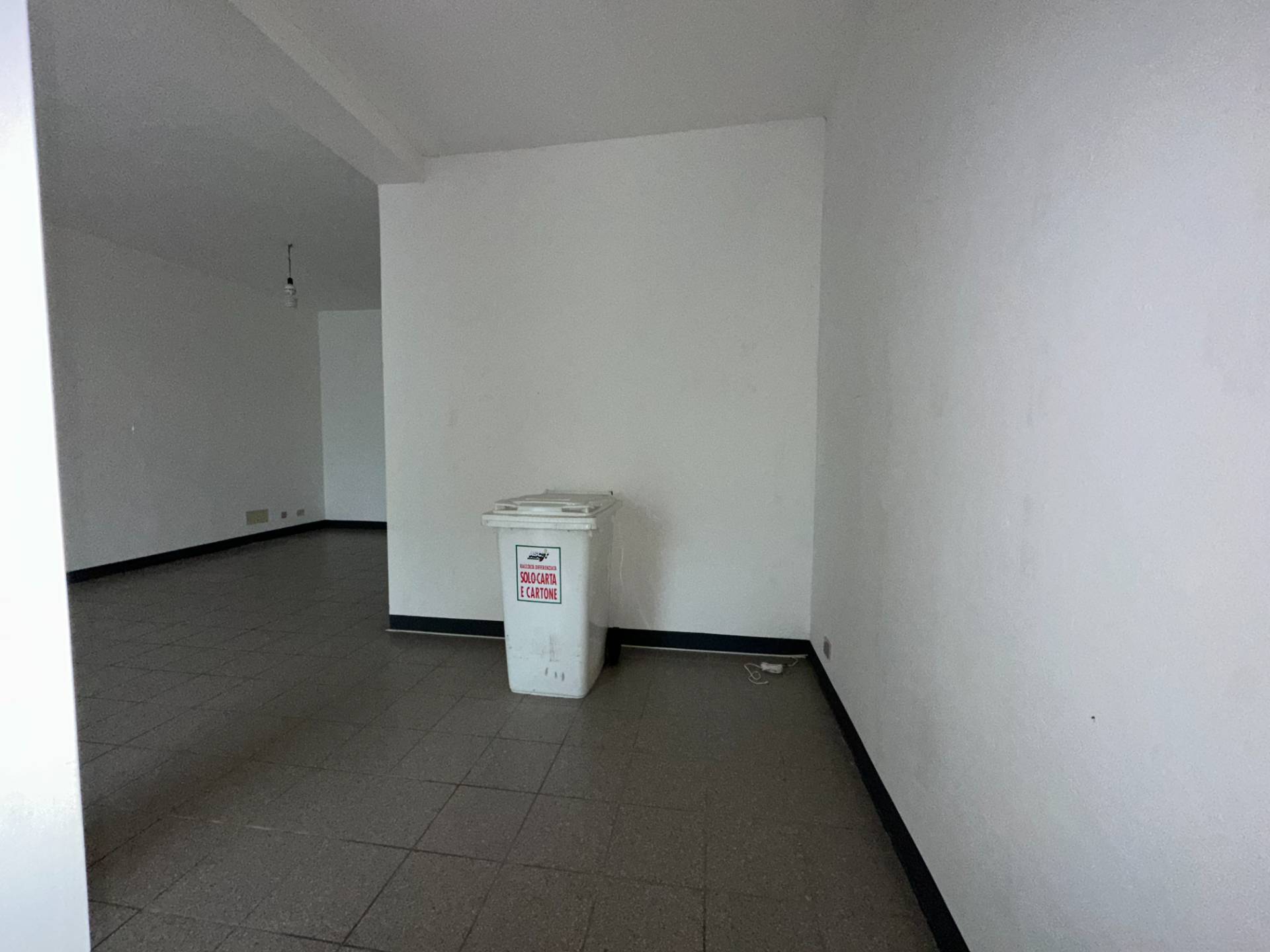 Magazzino in affitto a Capannori, Segromigno in Monte