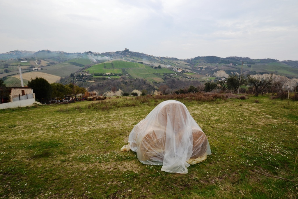 Terreno Agricolo in vendita a Monteprandone, Collinare