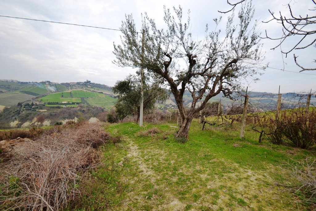 immagine annuncio 5 di 6