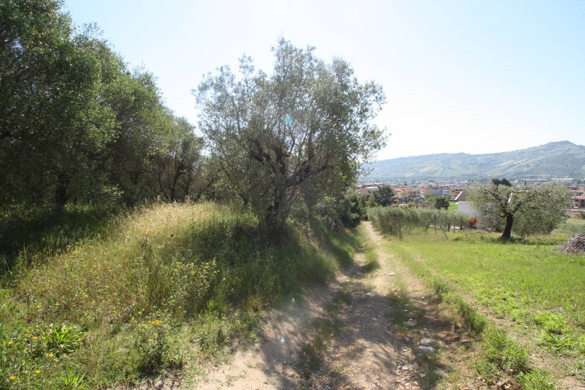 Terreno edificabile in vendita a Monteprandone, Centobuchi