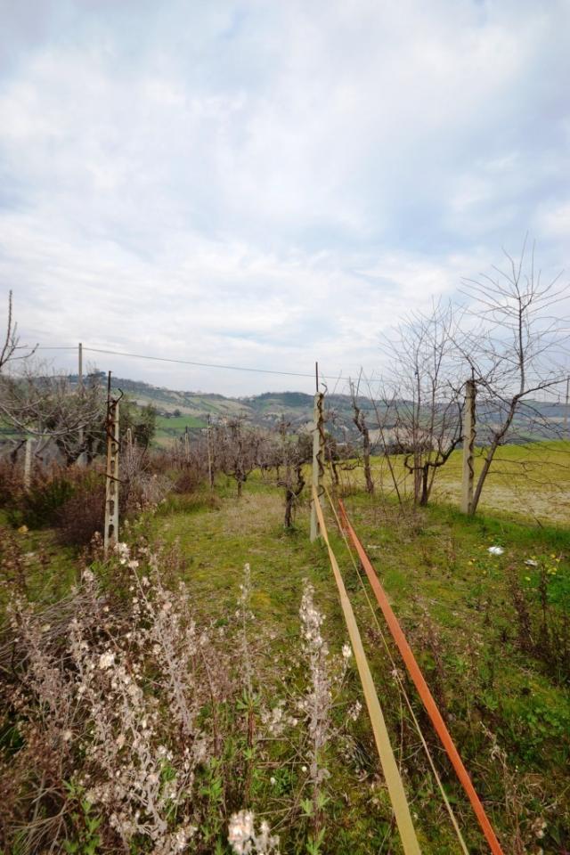 Terreno Agricolo in vendita a Monteprandone, Collinare
