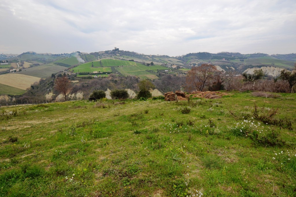 Terreno Agricolo in vendita a Monteprandone, Collinare