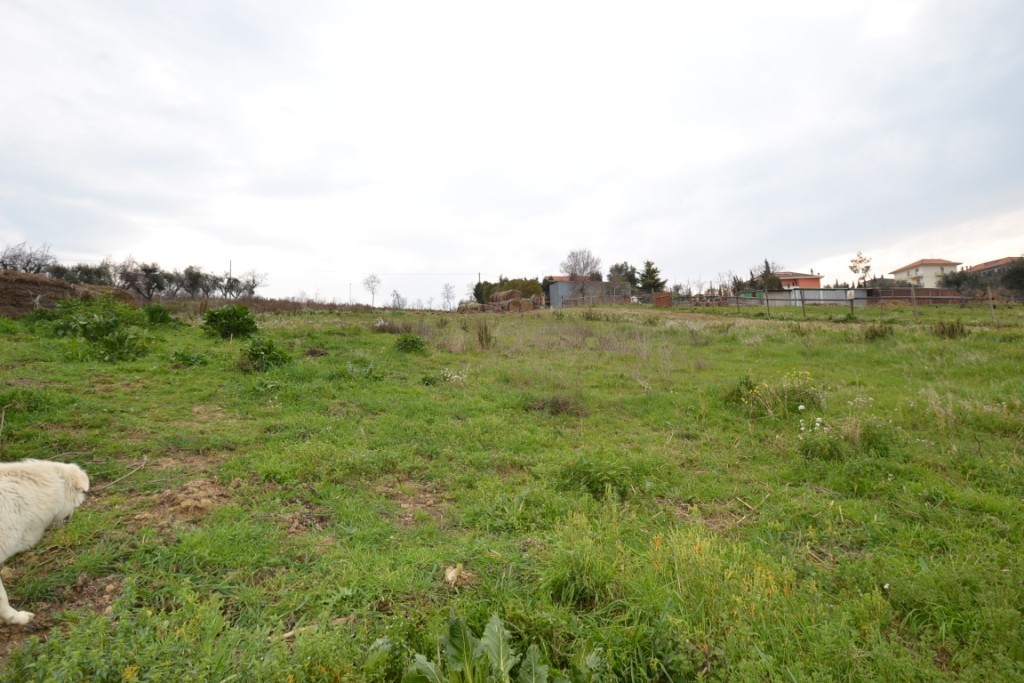 Terreno Agricolo in vendita a Monteprandone, Collinare