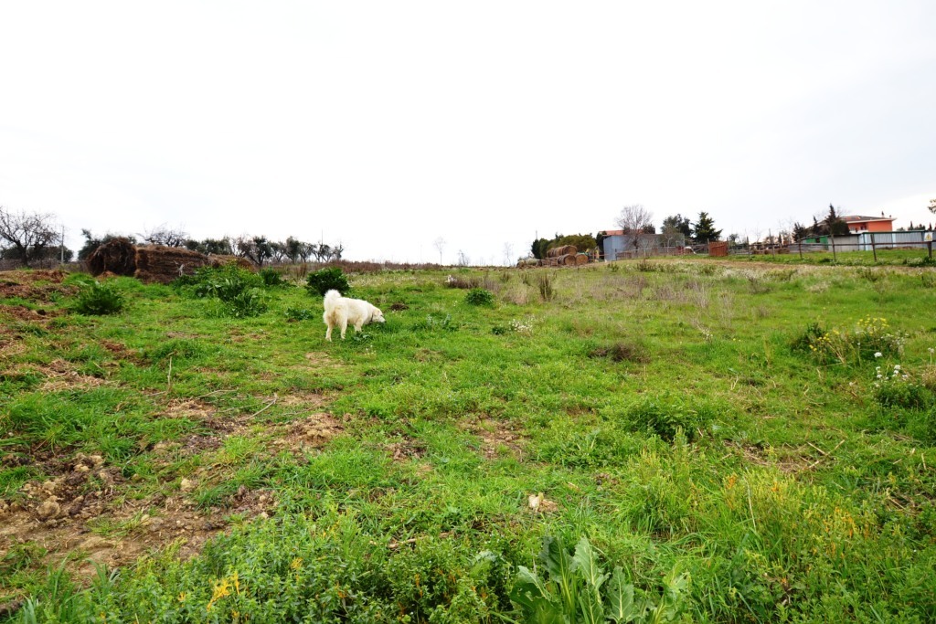 Terreno Agricolo in vendita a Monteprandone, Collinare
