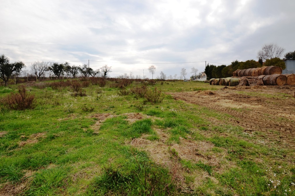 Terreno Agricolo in vendita a Monteprandone, Collinare