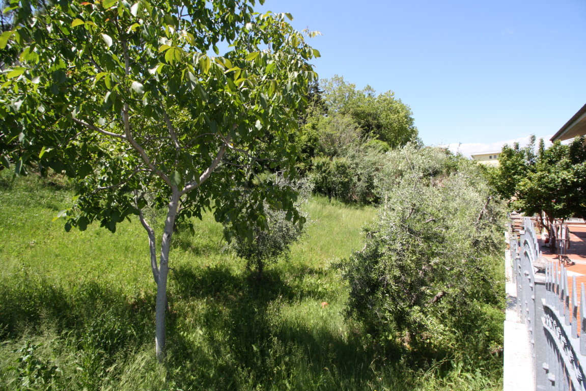 Terreno edificabile in vendita a Monteprandone, Collinare