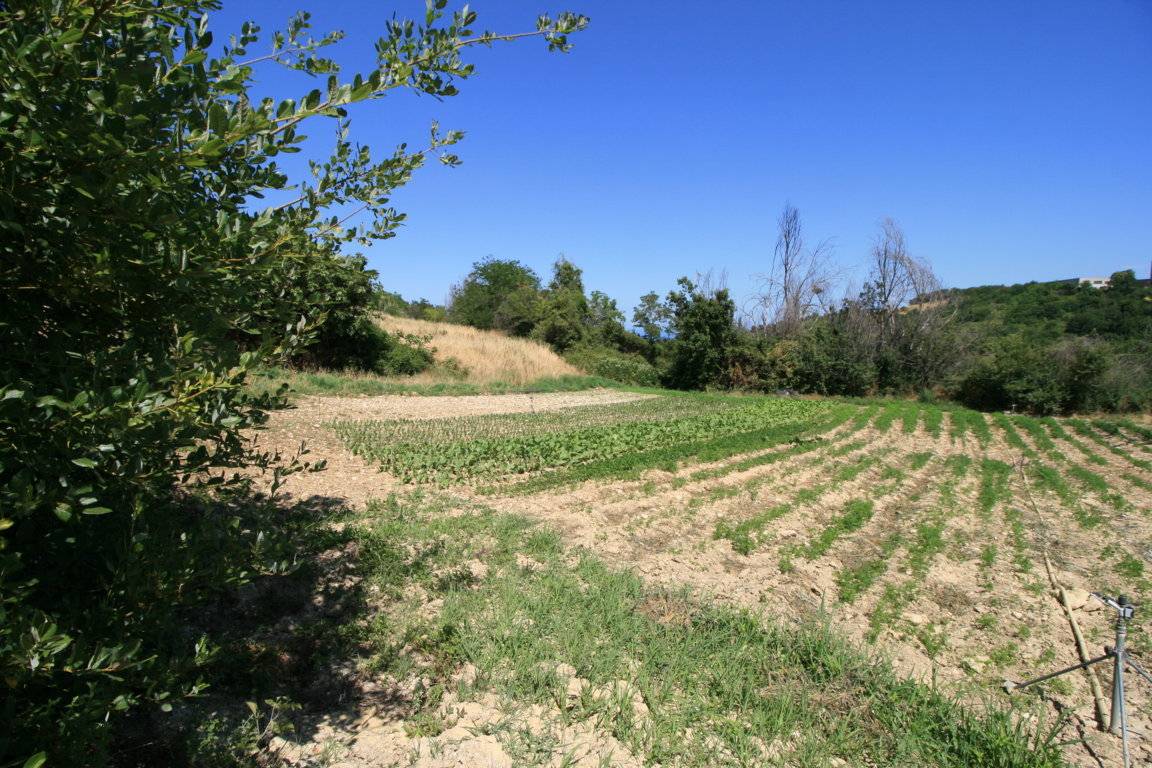 Rustico/Casale in vendita a Ripatransone, centro storico