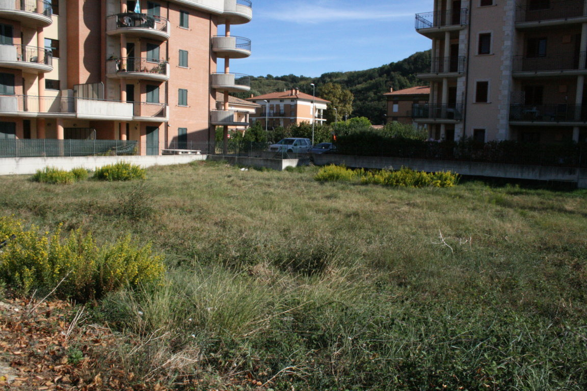 Terreno edificabile in vendita a Pedaso, Valdaso Nord