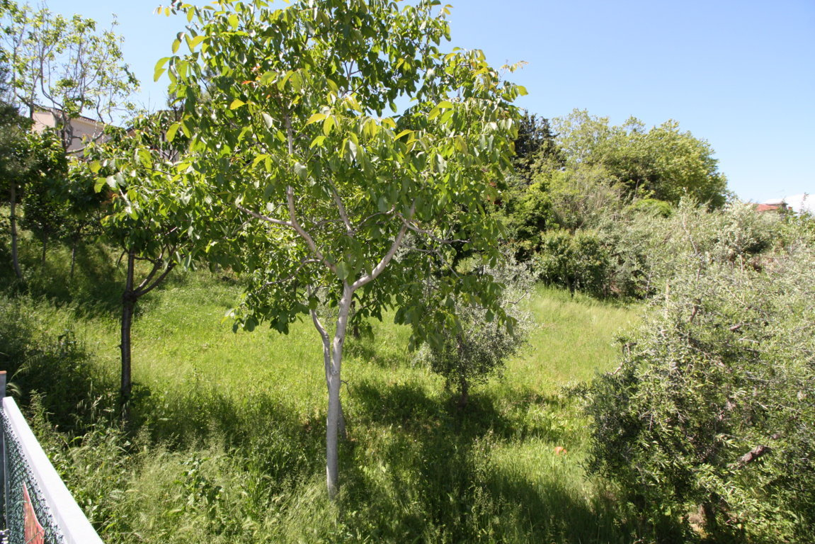 Terreno edificabile in vendita a Monteprandone, Collinare