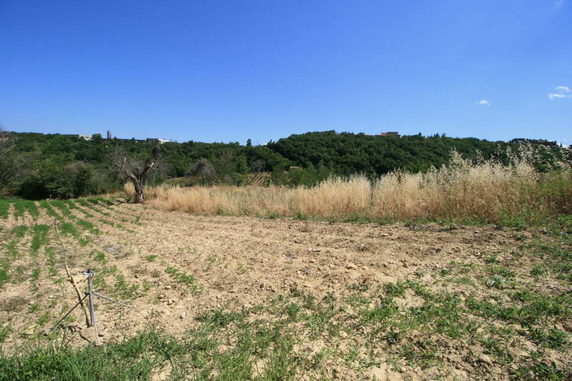 Rustico/Casale in vendita a Ripatransone, centro storico