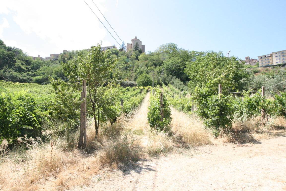 Rustico/Casale in vendita a Ripatransone, centro storico