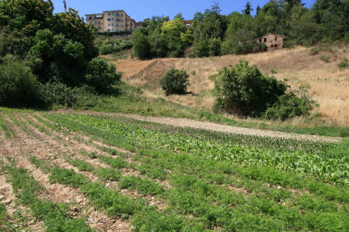 Rustico/Casale in vendita a Ripatransone, centro storico