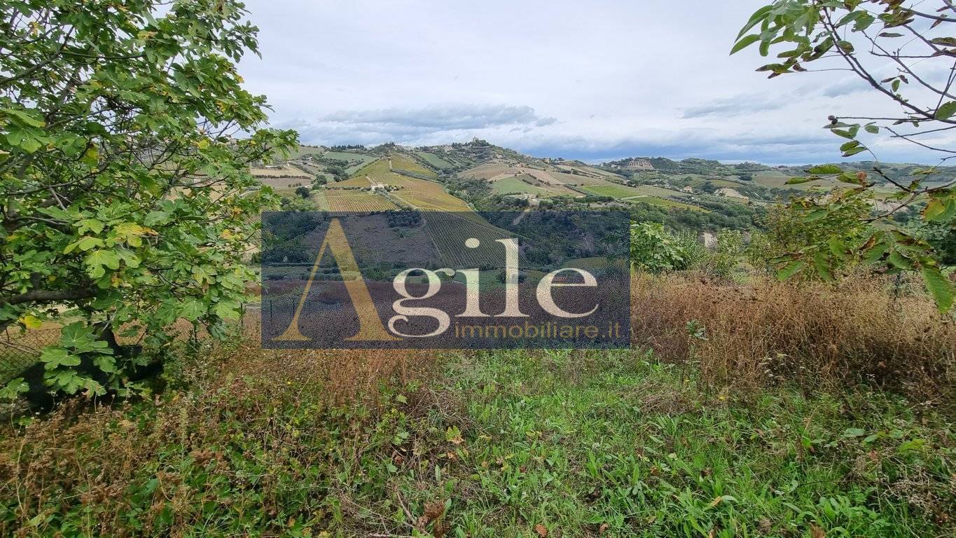 Terreno Agricolo in vendita a Monteprandone, Collinare