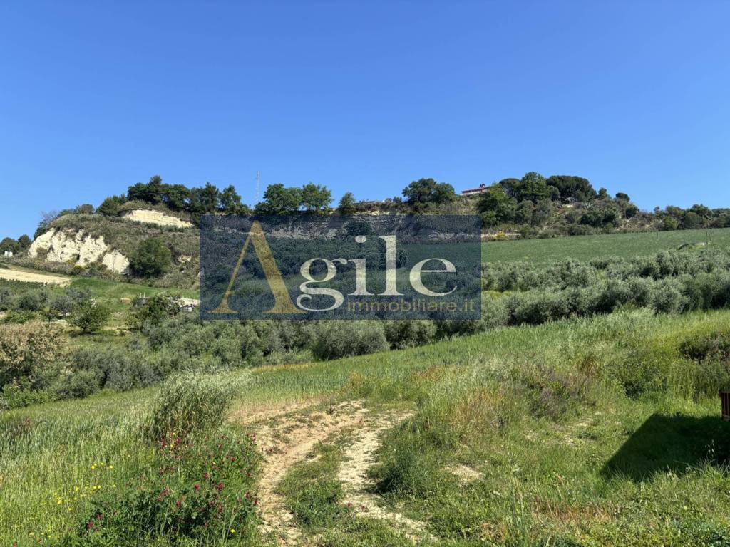 Terreno Agricolo in vendita a San Benedetto del Tronto