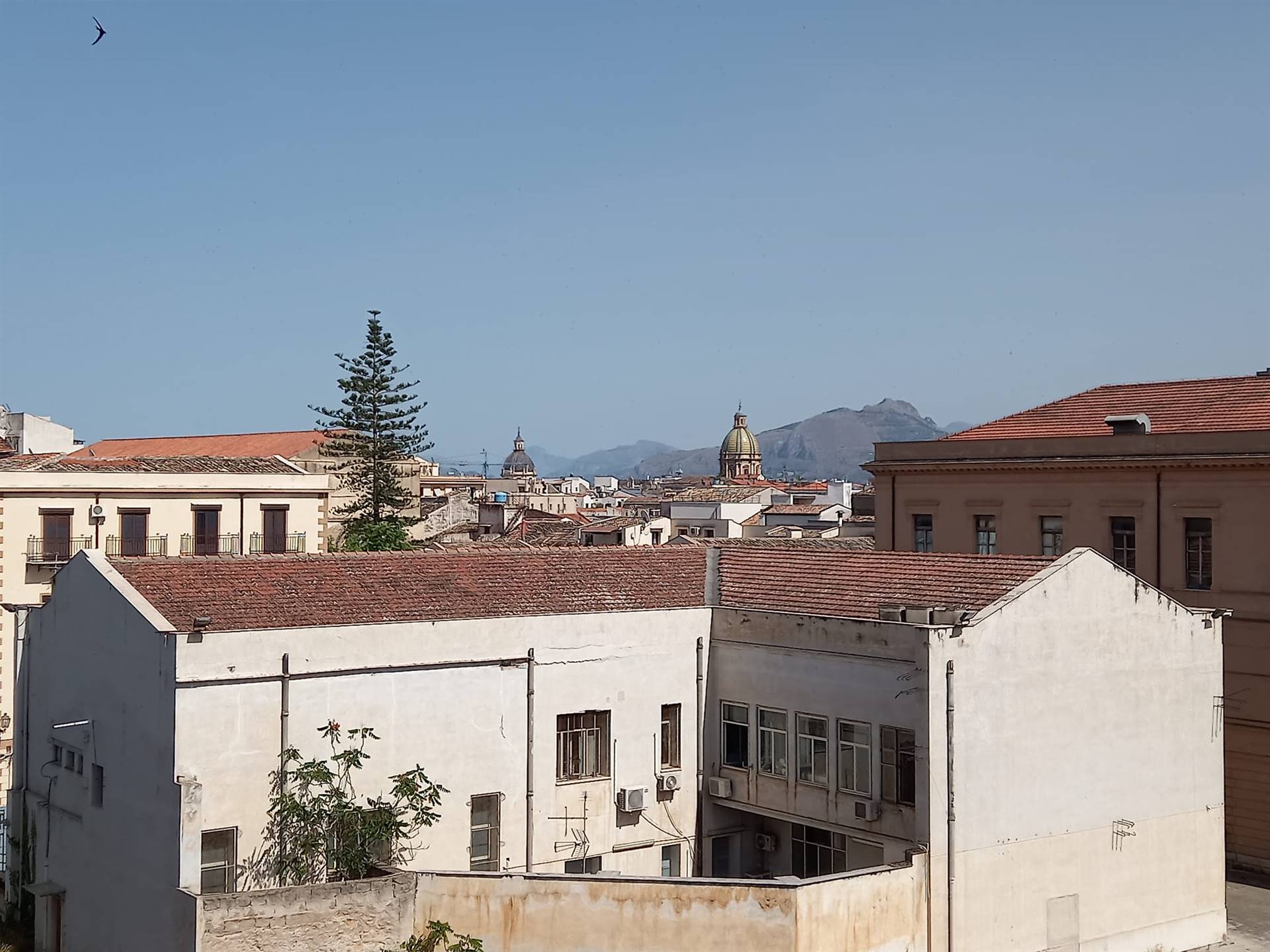 Bilocale ristrutturato, Palermo centro storico