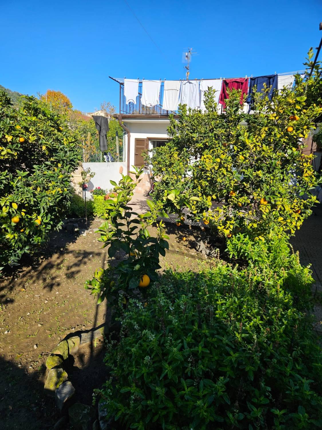 Villa in vendita a Camporosso