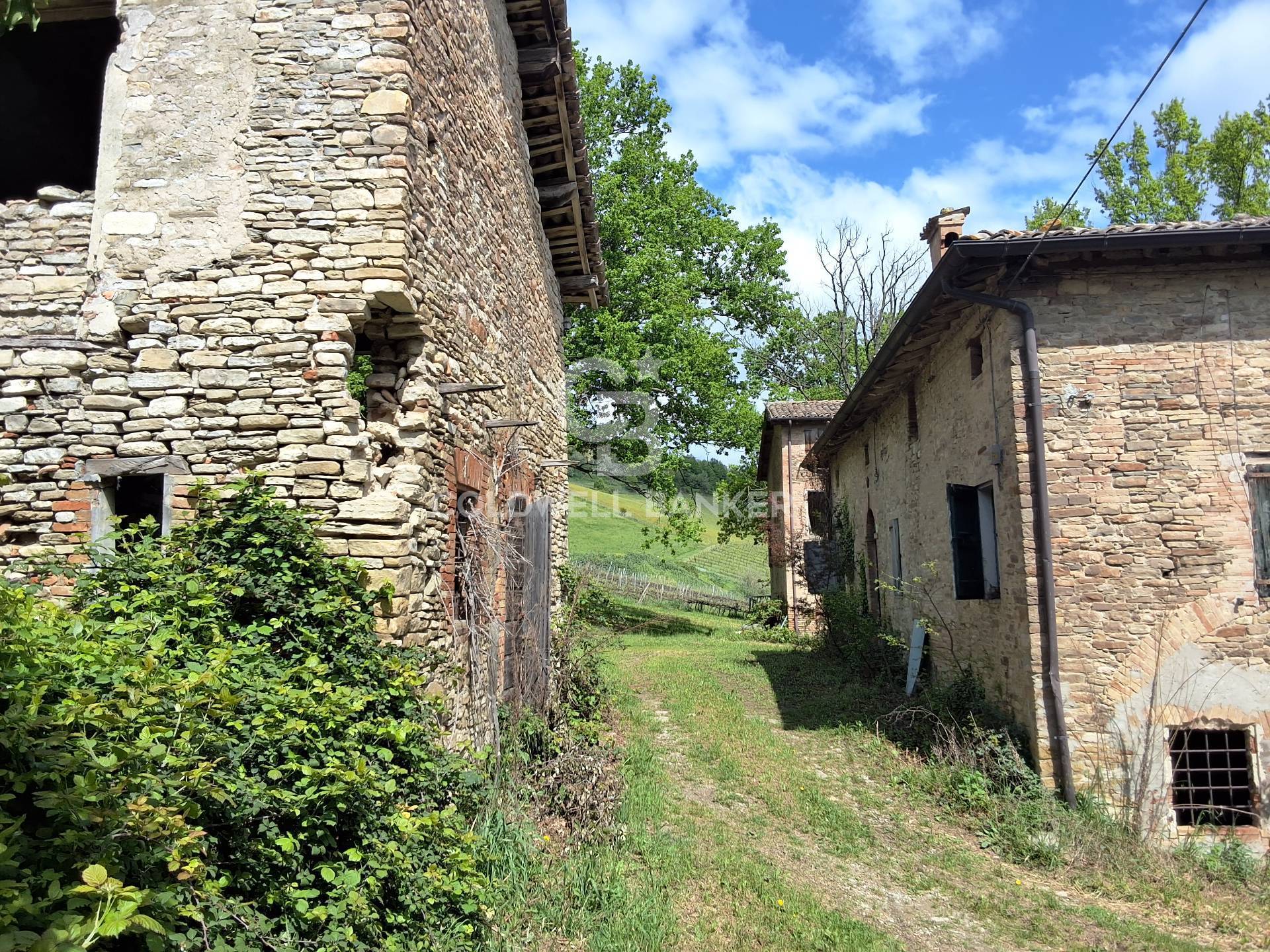 Borgo in vendita a Castelvetro di Modena, Levizzano