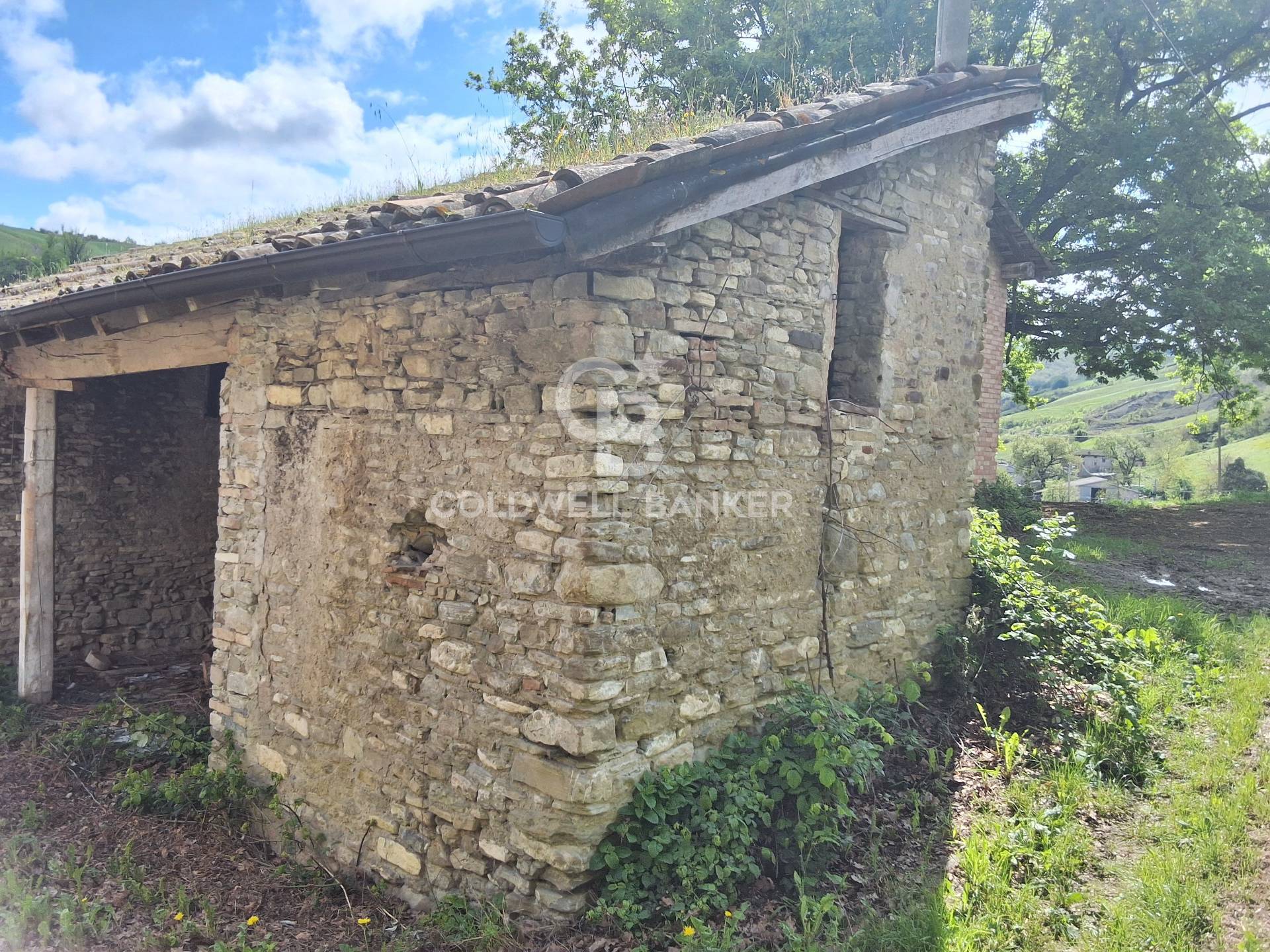 Borgo in vendita a Castelvetro di Modena, Levizzano