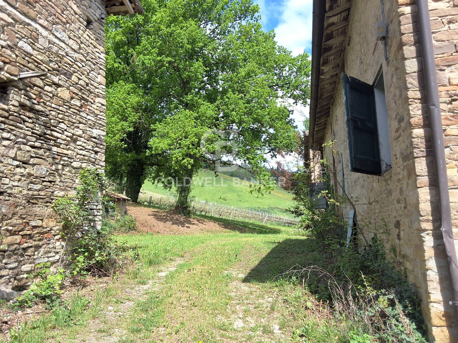 Borgo in vendita a Castelvetro di Modena, Levizzano