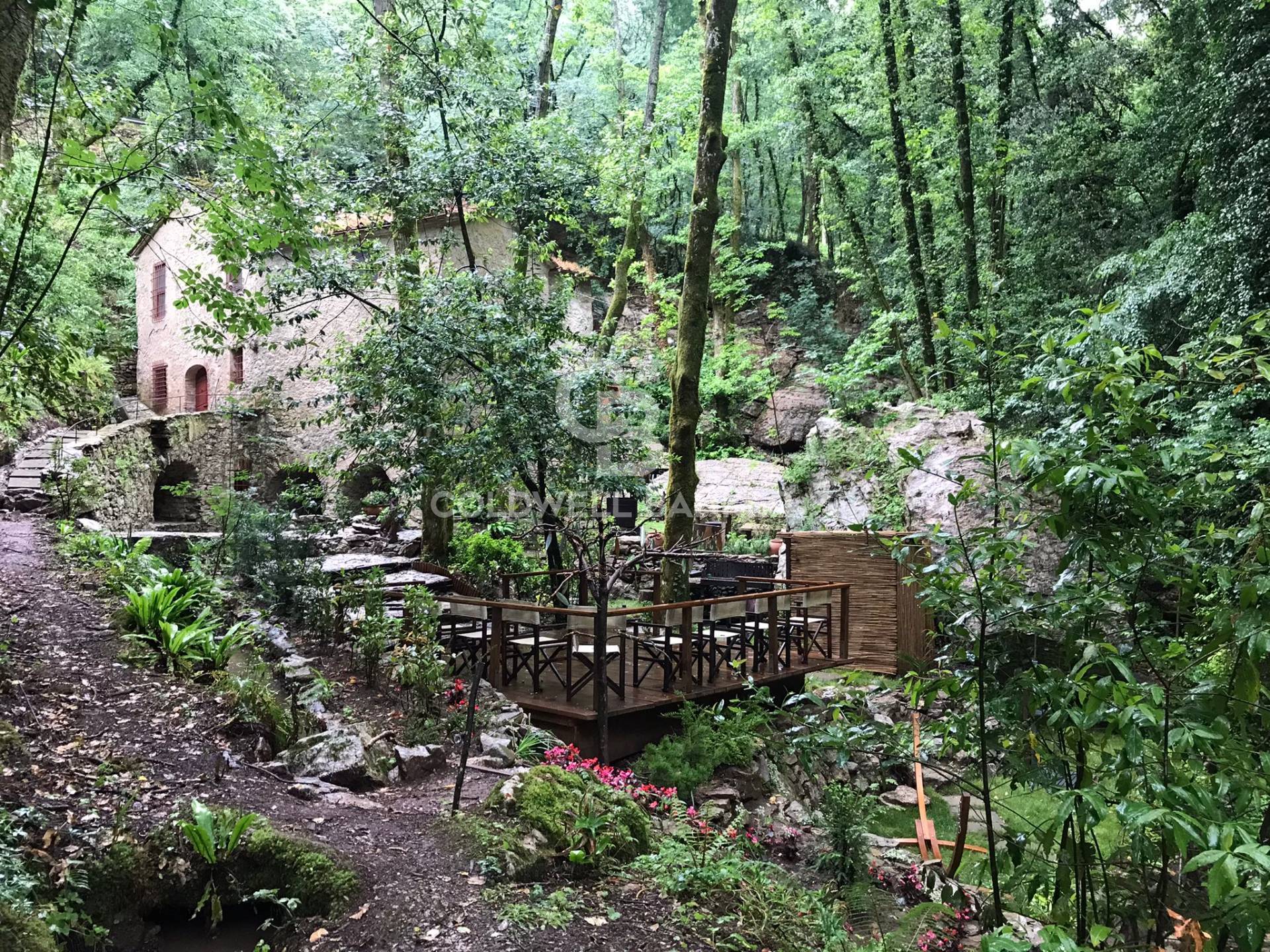 Rustico/Casale/Corte in vendita a Camaiore