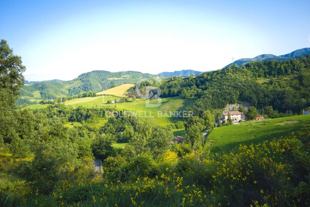 Tenuta in vendita a Santa Sofia