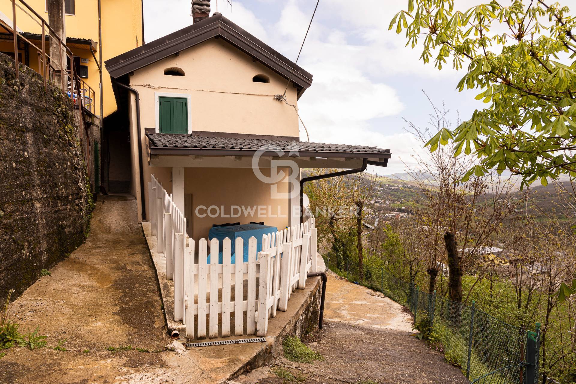 immagine annuncio 1 di 10