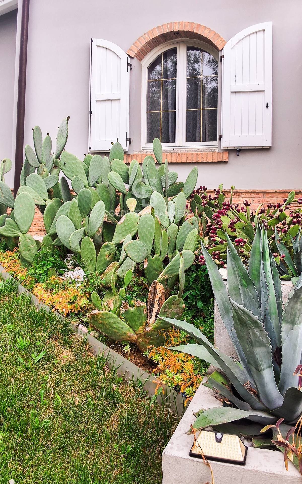 Villa in vendita a Serramazzoni, Pazzano di Sopra