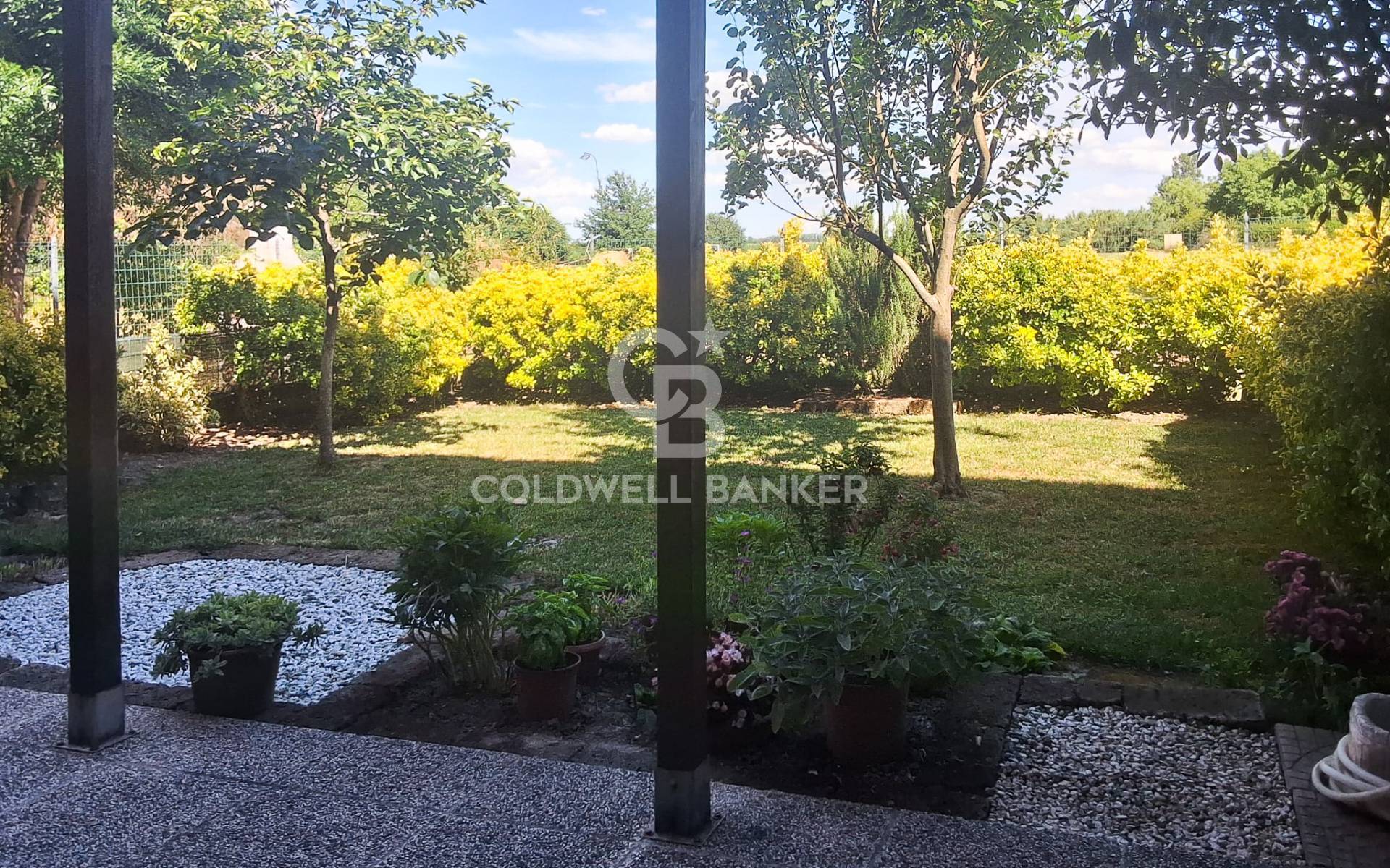 Appartamento indipendente in vendita a Carpi, Cortile