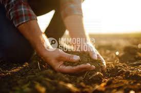 Terreno Agricolo in vendita a Caravaggio